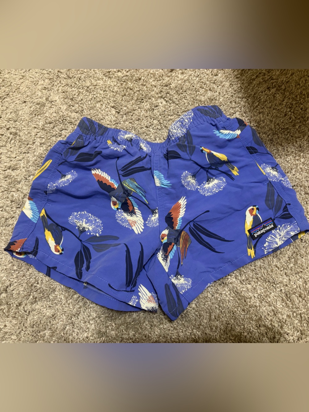 Patagonia Royal Blue Parrot-Print Athletic Shorts